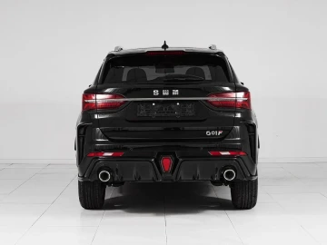 SWM G01F Smart - миниатюра 5