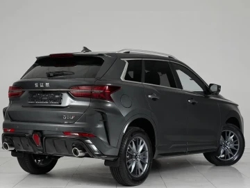 SWM G01F Smart 1 - миниатюра 6