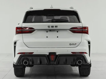 SWM G01F Smart - миниатюра 5